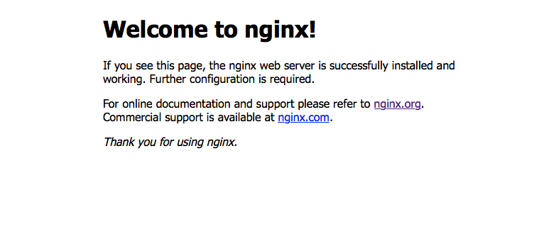 Nginx Standard-Seite